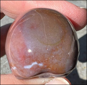 Small RAINBOW JASPER Crystal Skull - Tranquility - with Synergy 12+ years