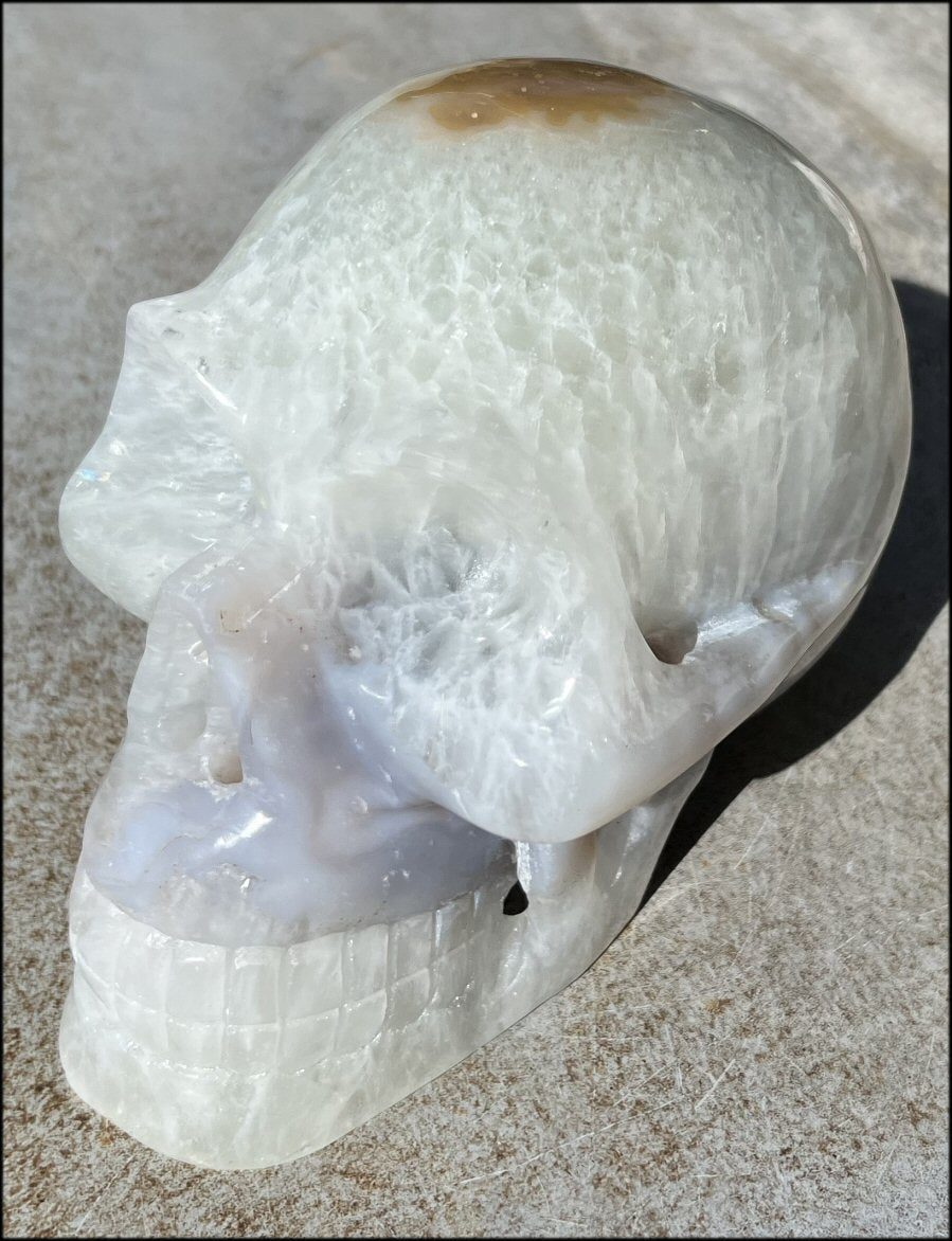 LifeSize Agate GEODE Crystal Skull with Fabulous Crown Chakra Formation, Secret Vug!