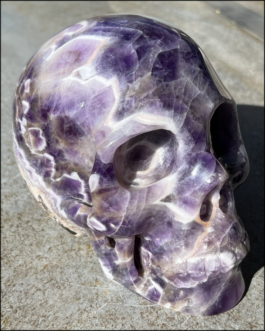 LifeSize Super 7 / Synergy 7 / Melody's Stone Crystal Skull with Weird Vugs, Hematite, 8lbs+ - From Sherry's Personal Collection