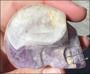 Chevron Amethyst Crystal Skull - Dream Work, Inner Journeying