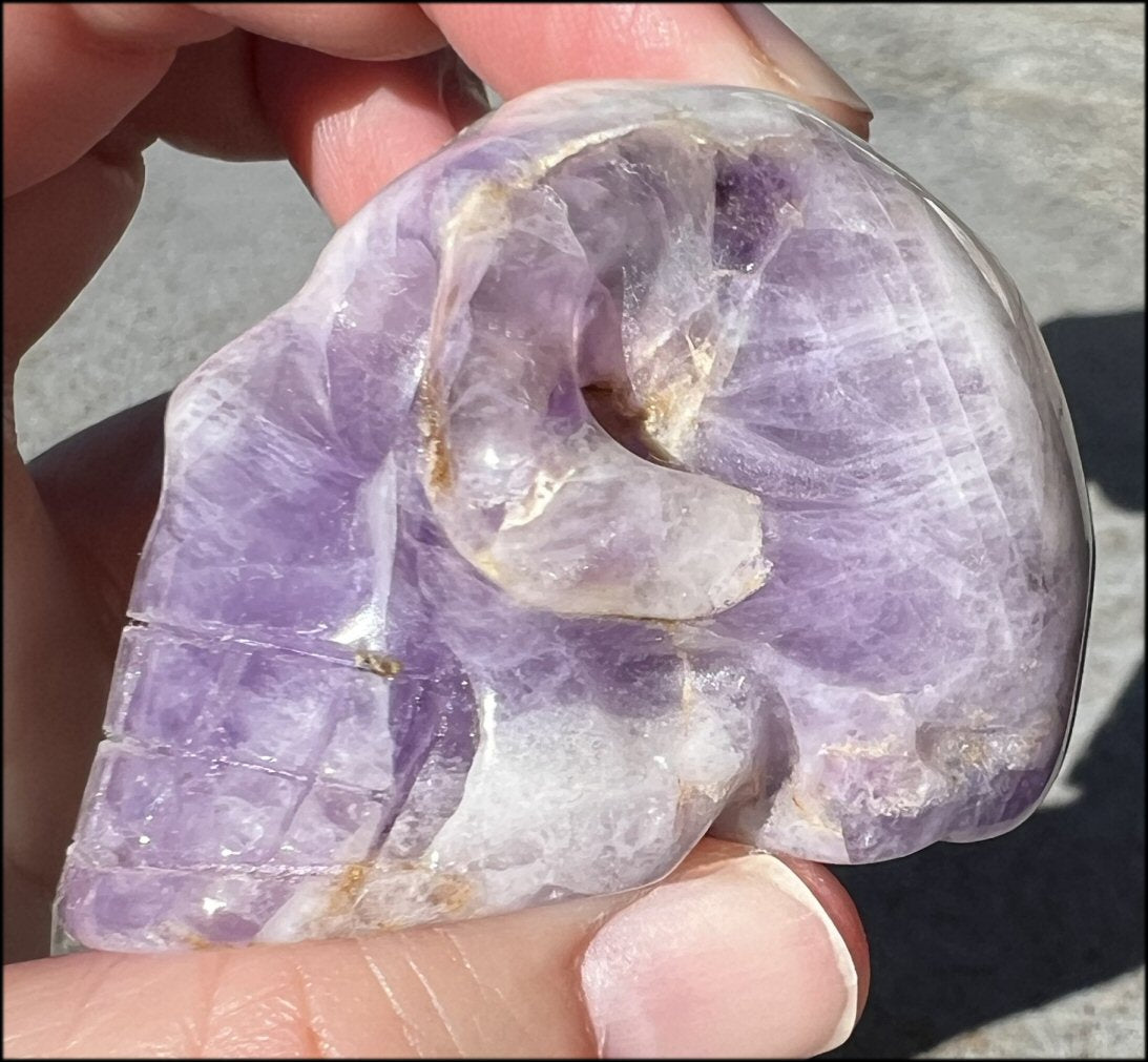 Chevron Amethyst Crystal Skull - Dream Work, Inner Journeying