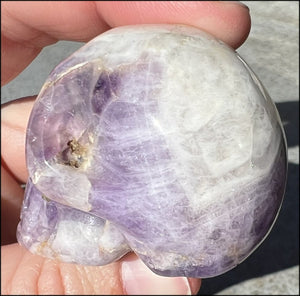 Chevron Amethyst Crystal Skull - Dream Work, Inner Journeying
