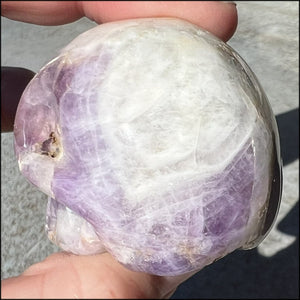 Chevron Amethyst Crystal Skull - Dream Work, Inner Journeying
