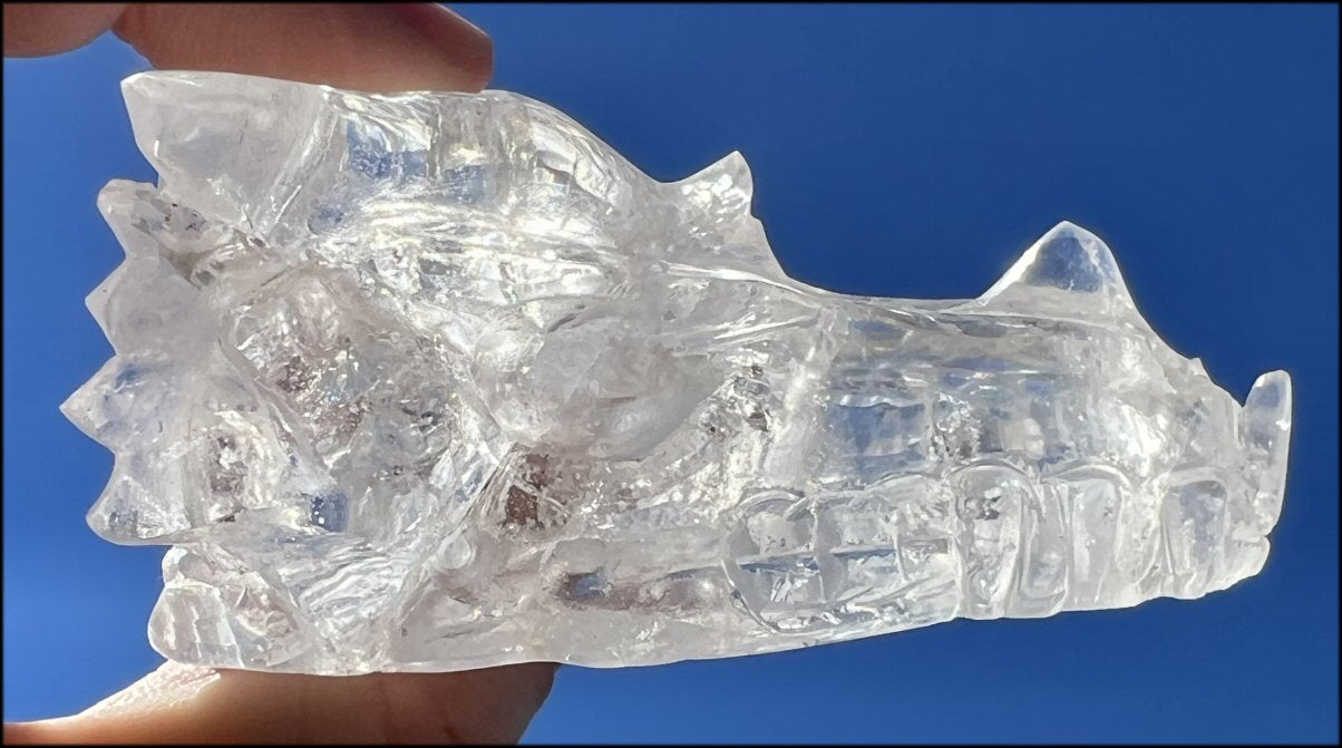Quartz DRAGON Crystal Skull with Lovely Rainbows - Focus, Transformation, Protection