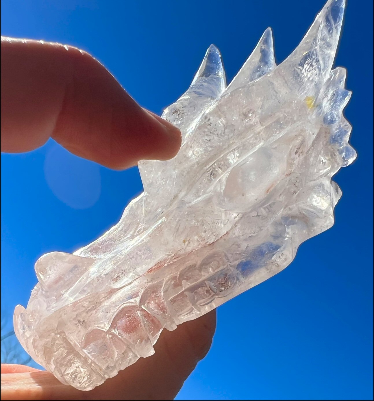 Quartz Dragon Crystal Skull with Bi-Colored Hematite inclusions - Focus, Transformation