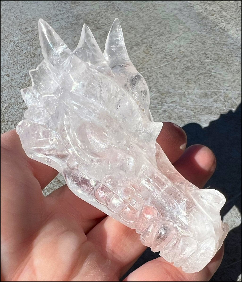 Quartz Dragon Crystal Skull with Bi-Colored Hematite inclusions - Focus, Transformation