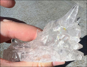 Quartz Dragon Crystal Skull with Bi-Colored Hematite inclusions - Focus, Transformation