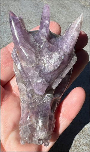 Fluorite DRAGON Crystal Skull with Hematite inclusions - Calming, Protective