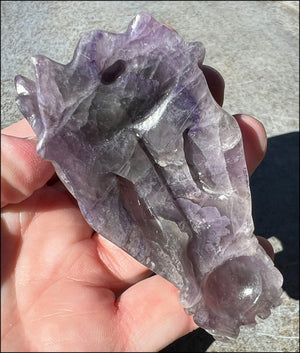 Fluorite DRAGON Crystal Skull with Hematite inclusions - Calming, Protective