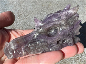 Fluorite DRAGON Crystal Skull with Hematite inclusions - Calming, Protective