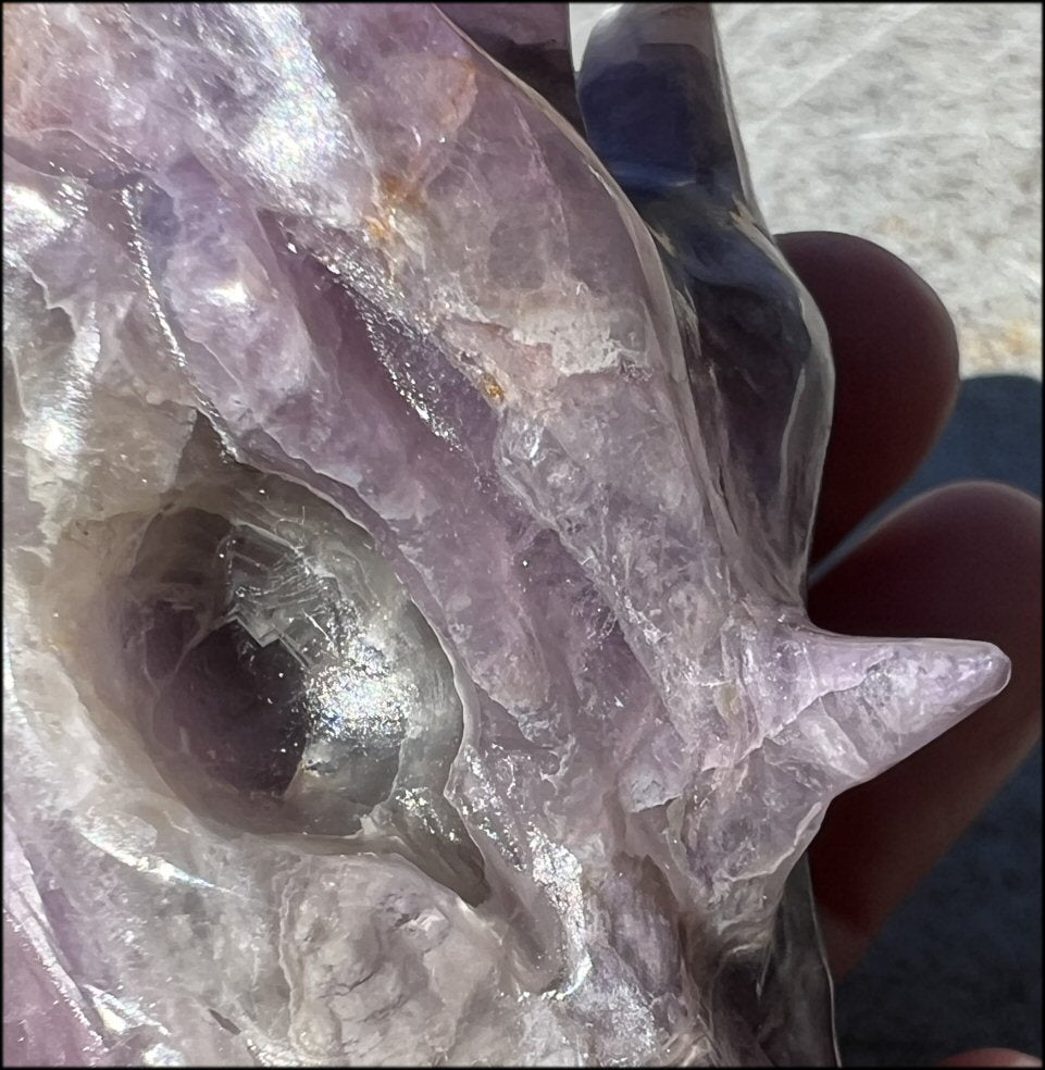 Fluorite DRAGON Crystal Skull with Hematite inclusions - Calming, Protective