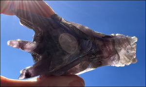 Fluorite DRAGON Crystal Skull with Hematite inclusions - Calming, Protective