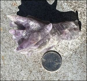 Fluorite DRAGON Crystal Skull with Hematite inclusions - Calming, Protective