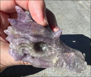 Fluorite DRAGON Crystal Skull with Hematite inclusions - Calming, Protective