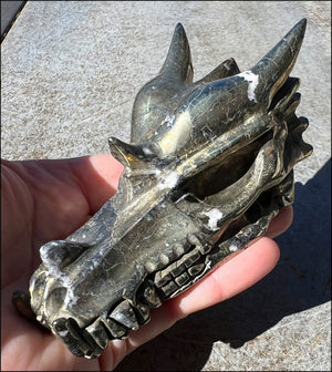Lg. Pyrite DRAGON Crystal Skull with Quartz inclusions - Intellect, Mental Clarity