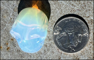 Small OPALITE Crystal Skull - Remove blocks, Promote Emotional strength