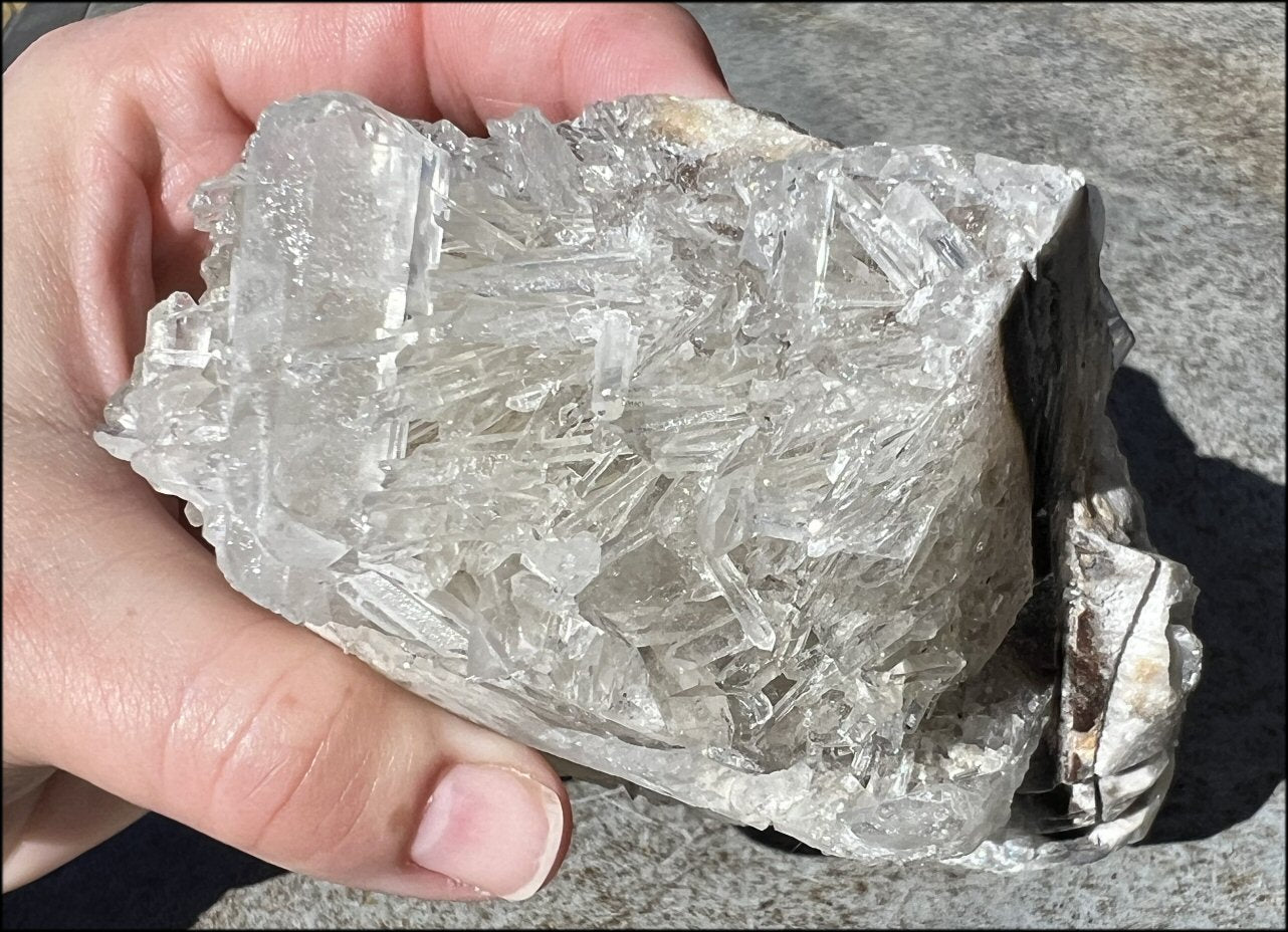 ~Super Sparkly~ Quartz and Limestone METAMORPHOSIS Crystal Skull