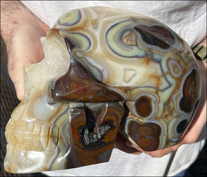 ~Super Size~ Madagascar Agate Geode Crystal Skull with Hematite, Vugs - 18lbs+