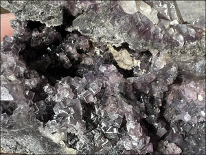 Fluorite and Limestone METAMORPHOSIS Crystal Skull - Calming, Great for meditation