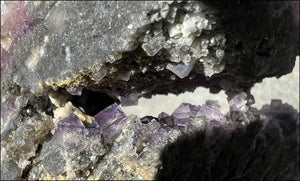 Fluorite and Limestone METAMORPHOSIS Crystal Skull - Calming, Great for meditation