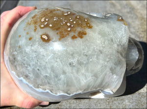 LifeSize Blue-Grey Agate GEODE Crystal Skull with Iron Dendrites