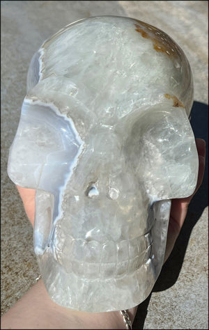 LifeSize Blue-Grey Agate GEODE Crystal Skull with Iron Dendrites