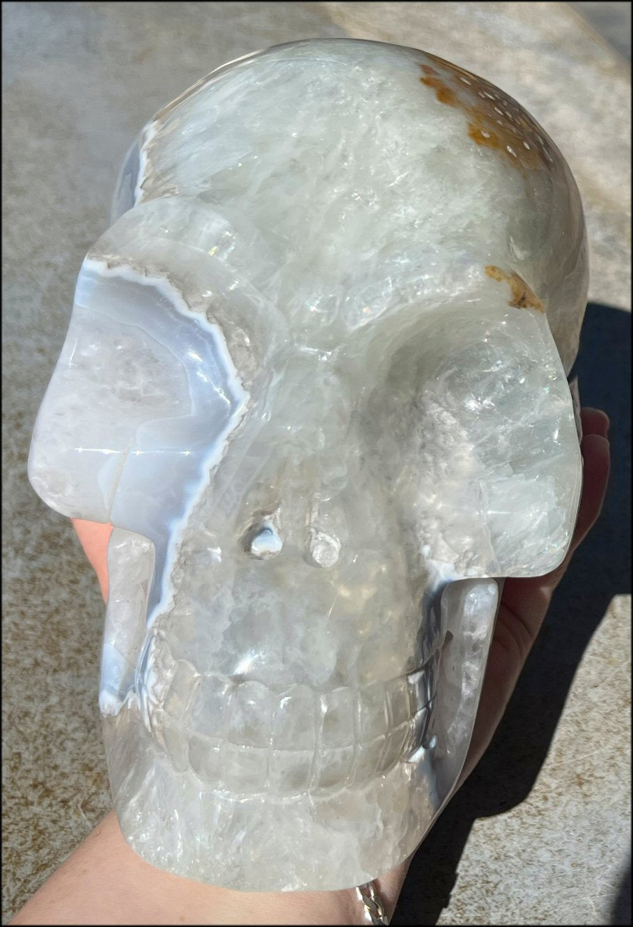 LifeSize Blue-Grey Agate GEODE Crystal Skull with Iron Dendrites