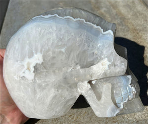 LifeSize Blue-Grey Agate GEODE Crystal Skull with Iron Dendrites