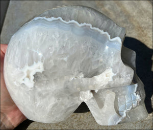 LifeSize Blue-Grey Agate GEODE Crystal Skull with Iron Dendrites