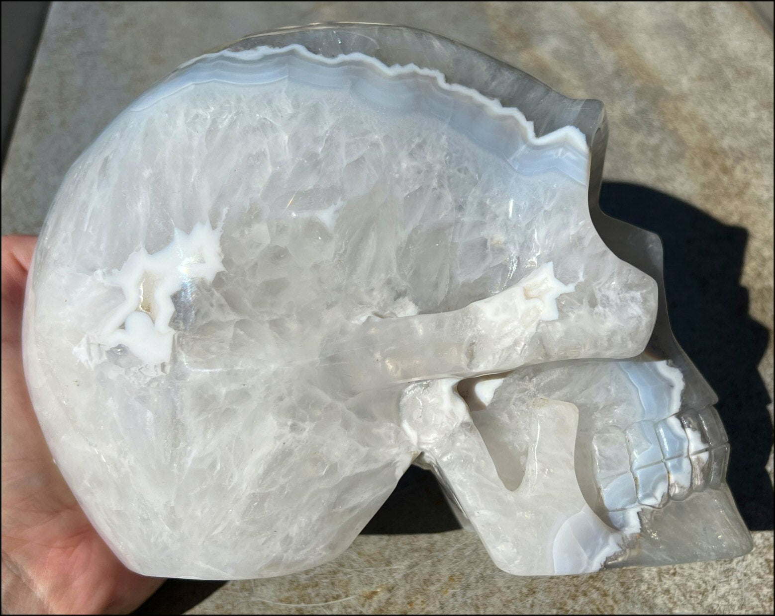 LifeSize Blue-Grey Agate GEODE Crystal Skull with Iron Dendrites