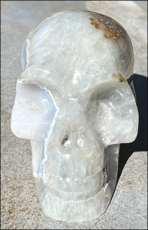 LifeSize Blue-Grey Agate GEODE Crystal Skull with Iron Dendrites