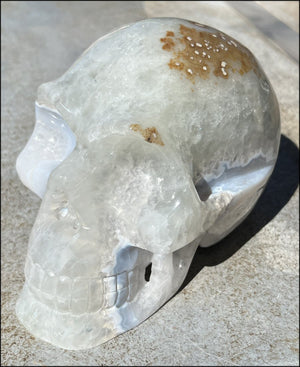 LifeSize Blue-Grey Agate GEODE Crystal Skull with Iron Dendrites