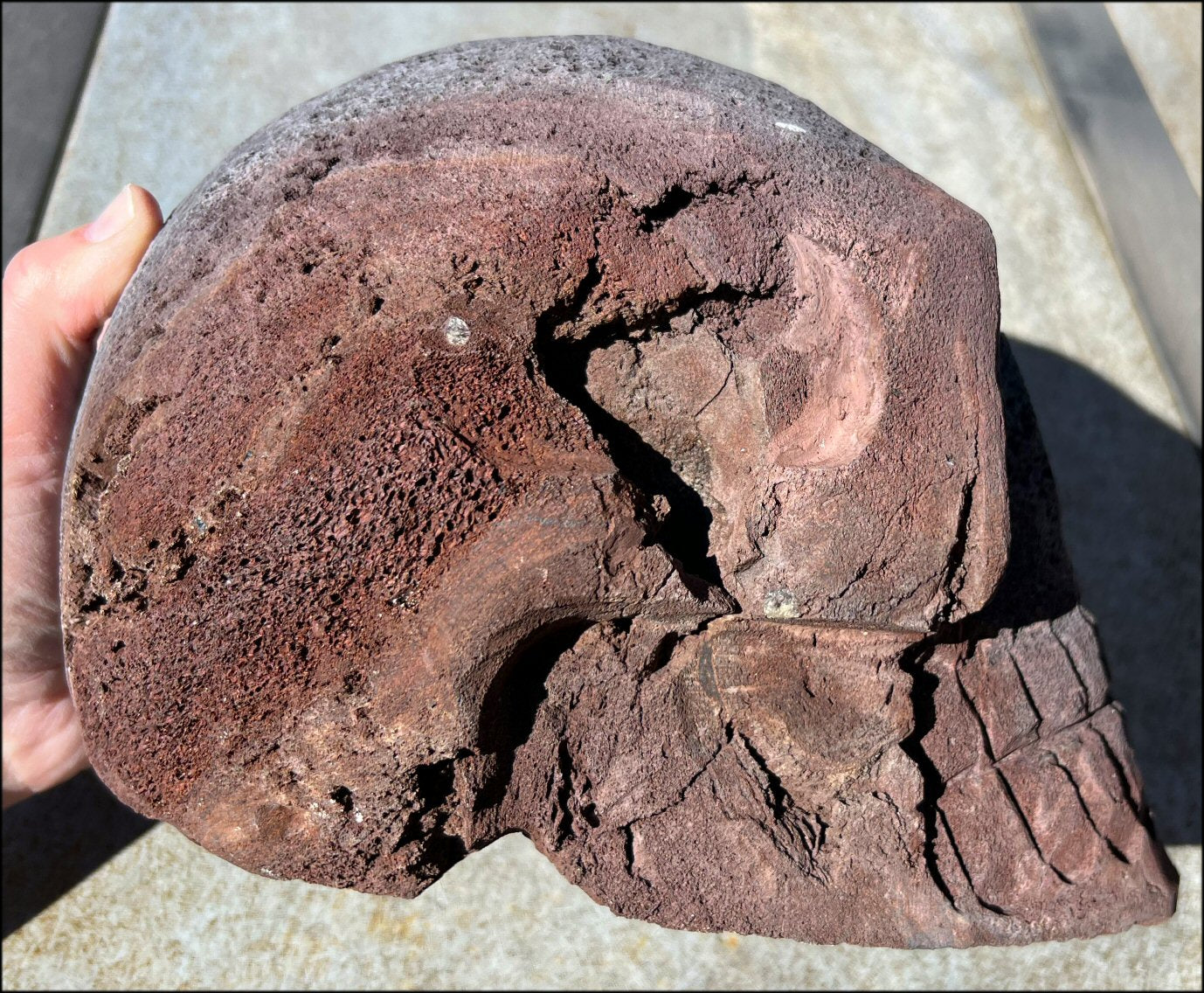 Larger Than LifeSize Black + Red Volcanic Lava Crystal Skull "LUDO" - With Synergy 10+ Years