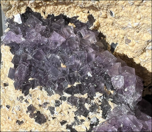 Purple Fluorite and Limestone METAMORPHOSIS Crystal Skull - Calming, Great for meditation