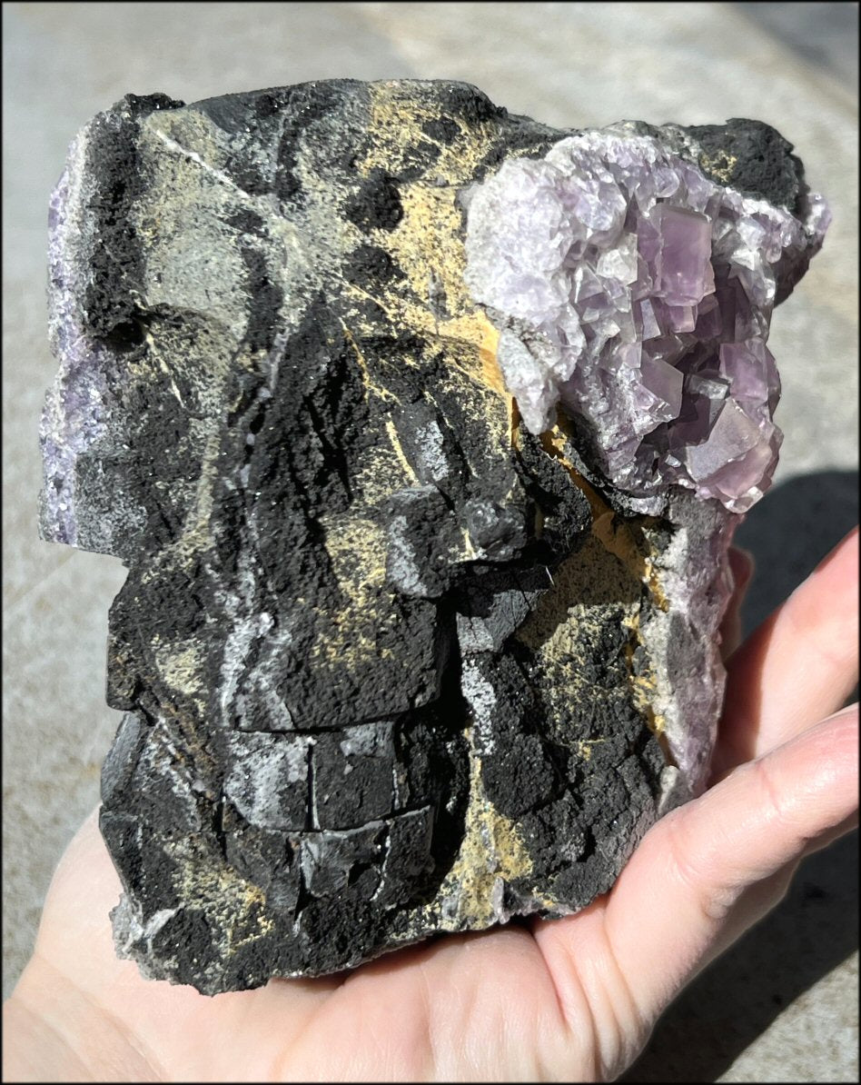 Limestone + Cubic Purple FLUORITE Metamorphosis Crystal Skull with Weird Organic Formations