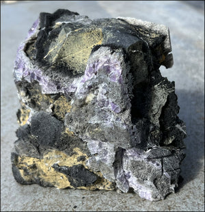 Limestone + Cubic Purple FLUORITE Metamorphosis Crystal Skull with Weird Organic Formations