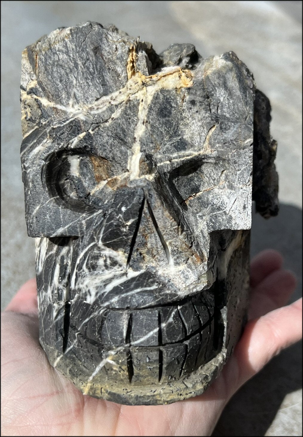 Limestone + Cubic Purple FLUORITE Metamorphosis Crystal Skull with Fantastic Vugs