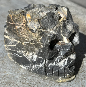 Limestone + Cubic Purple FLUORITE Metamorphosis Crystal Skull with Fantastic Vugs