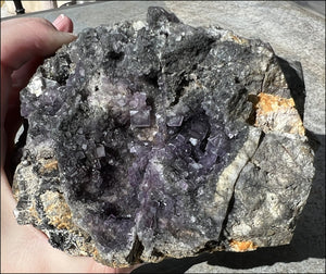 Limestone + Cubic Purple FLUORITE Metamorphosis Crystal Skull with Fantastic Vugs