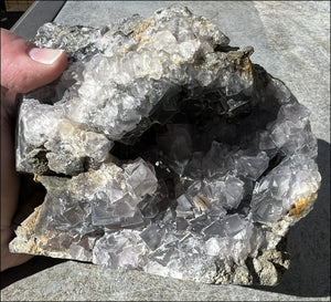 Blue-Grey Cubic FLUORITE + Limestone Metamorphosis Crystal Skull