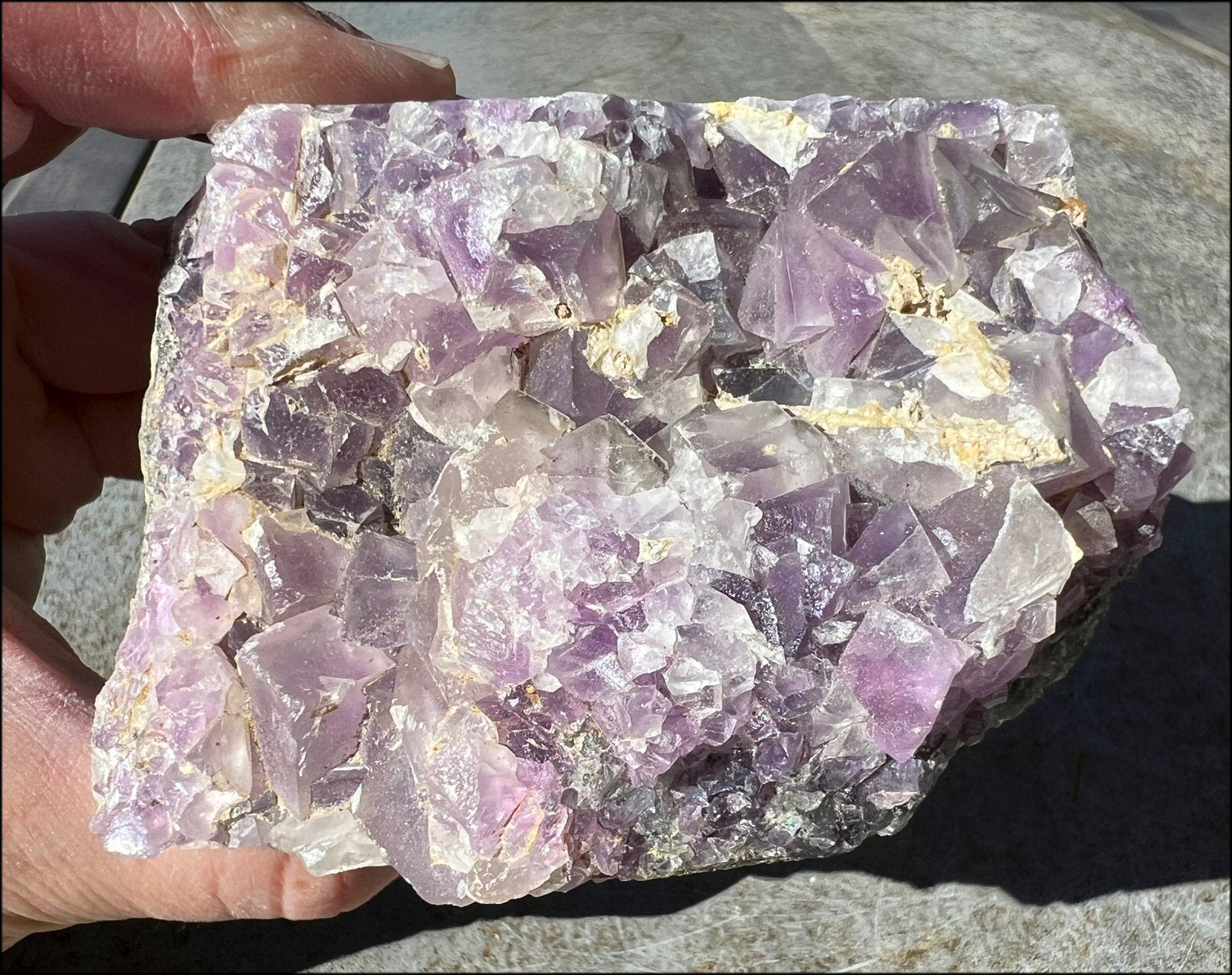 Limestone + Cubic Purple FLUORITE Metamorphosis Crystal Skull - Great for meditation!