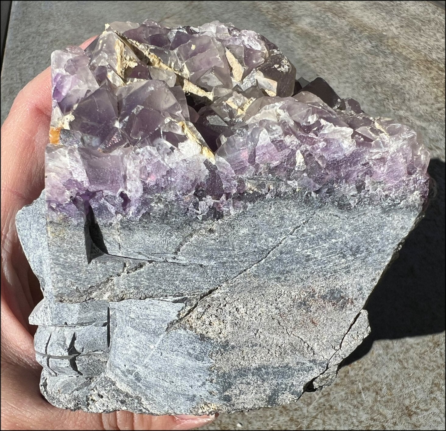 Limestone + Cubic Purple FLUORITE Metamorphosis Crystal Skull - Great for meditation!