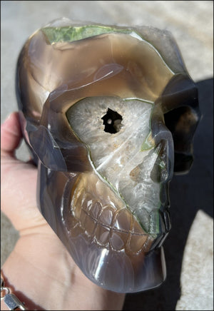 Baby Life-Size Agate GEODE Crystal Skull with BIG Druzy-lined VUG!