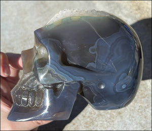 Baby Life-Size Agate GEODE Crystal Skull with BIG Druzy-lined VUG!
