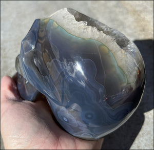 Baby Life-Size Agate GEODE Crystal Skull with BIG Druzy-lined VUG!