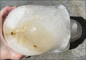 Agate GEODE Crystal Skull with Bi-Colored Dendritic inclusions, Beautiful crystalline "windows"