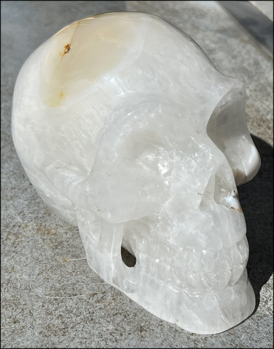 Agate GEODE Crystal Skull with Bi-Colored Dendritic inclusions, Beautiful crystalline "windows"