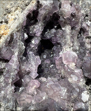 Limestone + Cubic Purple FLUORITE Metamorphosis Crystal Skull with Mesmerizing Vugs - Just over 6lbs