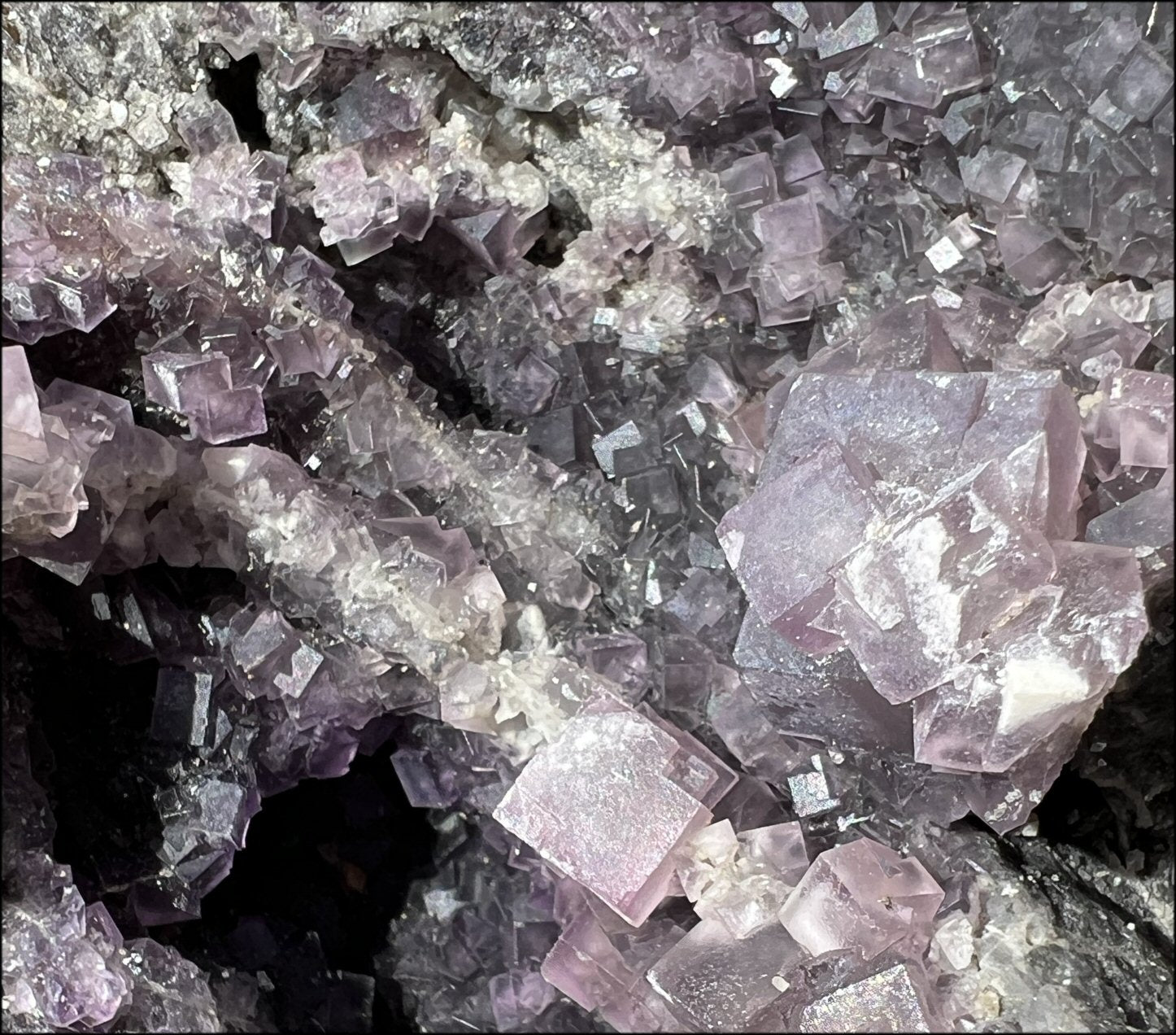 Limestone + Cubic Purple FLUORITE Metamorphosis Crystal Skull with Mesmerizing Vugs - Just over 6lbs