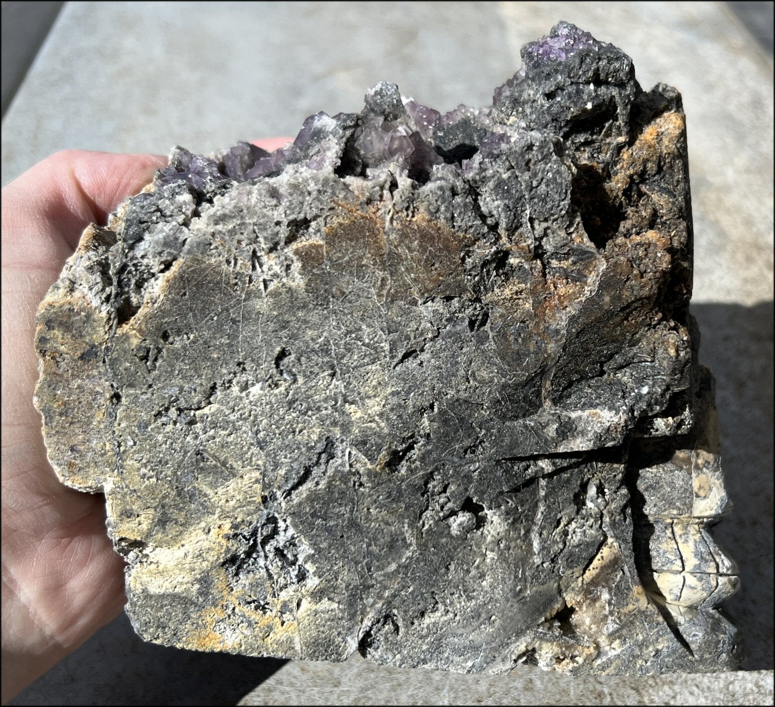 Limestone + Cubic Purple FLUORITE Metamorphosis Crystal Skull with Mesmerizing Vugs - Just over 6lbs